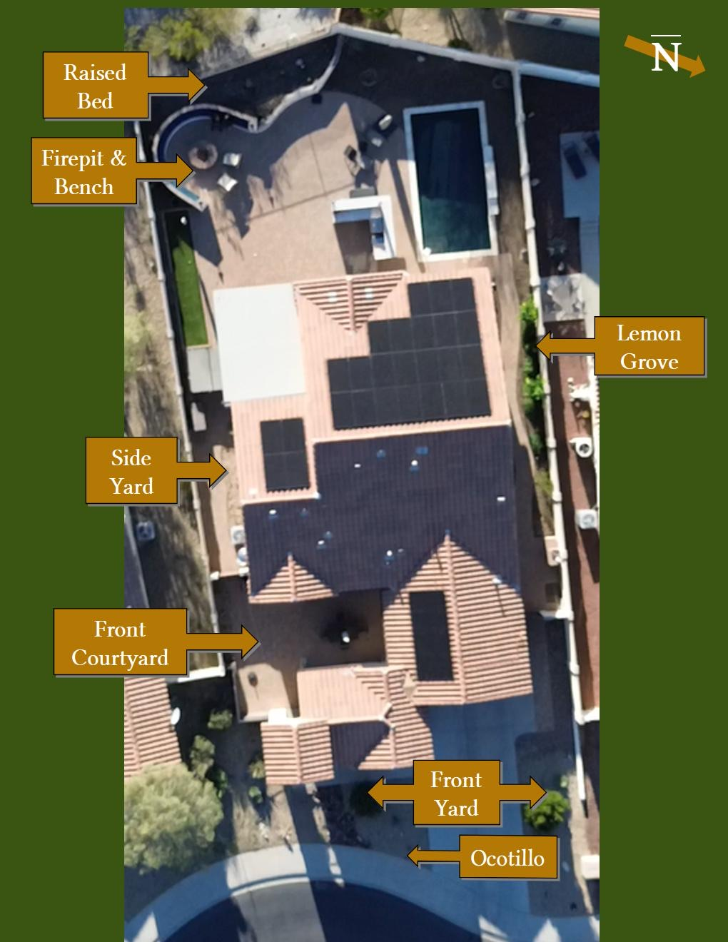 My Phoenix Garden: Light, Walls, and Orientation (Day 3)